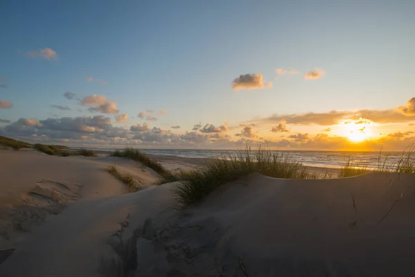 Closeup Shot Sunset Beach — Stock Photo, Image