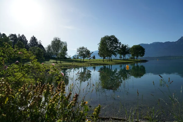 Krásné Jezero Obklopené Zelení — Stock fotografie