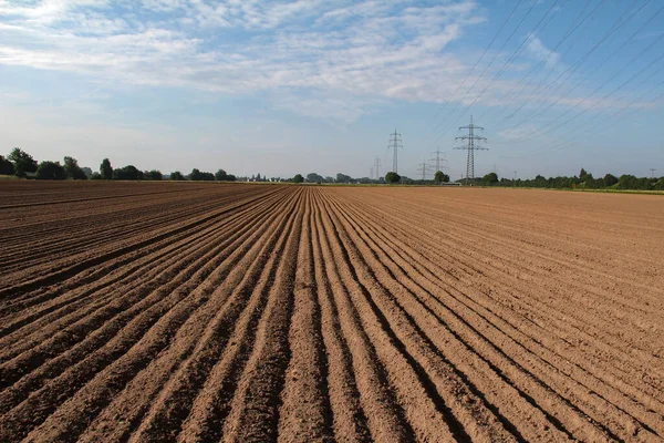 Campo Recién Arado Bajo Cielo Azul — Foto de Stock