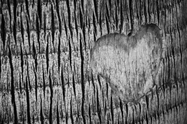 Серый Снимок Сердечной Формы Вырезанный Коре — стоковое фото