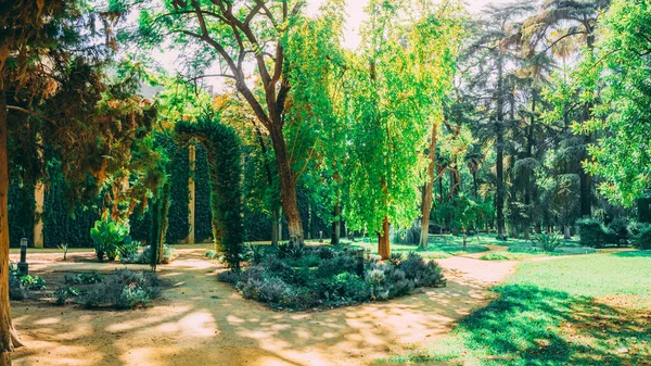Krásné Úžasné Zahrady Royal Alcazar Seville Španělsko — Stock fotografie