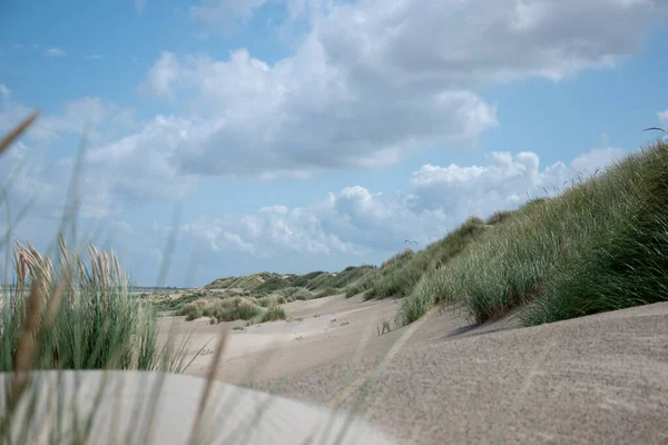 Bel Colpo Una Spiaggia Sabbiosa Con Erba Sotto Cielo Nuvoloso — Foto Stock