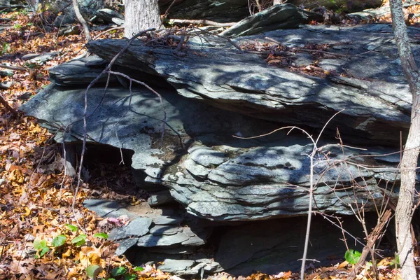 Közelkép Egy Szikláról Őszi Levelekről — Stock Fotó