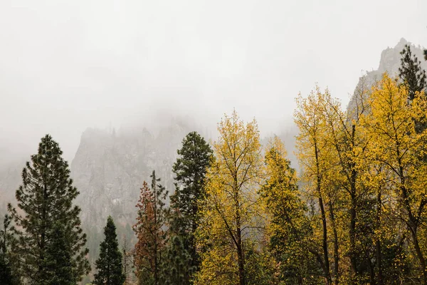 Una Impresionante Toma Panorámica Del Parque Nacional Yosemite Otoño California — Foto de Stock