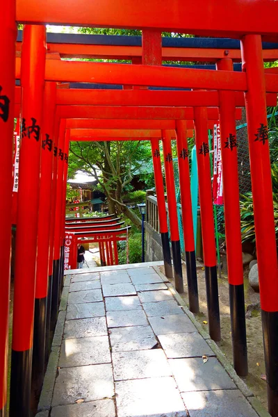 Disparo Vertical Las Puertas Fushimi Inari — Foto de Stock