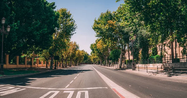 Seville Espagne Juil 2020 Rues Centre Ville Avec Degrés Pendant — Photo