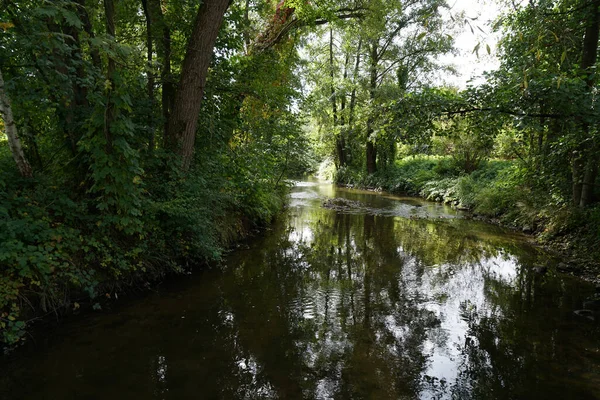 Río Que Fluye Rodeado Verdes Árboles Parque —  Fotos de Stock