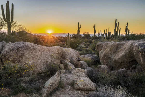 Imagen Muestra Sol Saliendo Desierto Sonora Arizona Más Allá Las —  Fotos de Stock