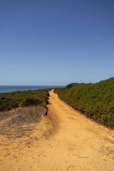 海につながる小さな道の垂直ショット — ストック写真