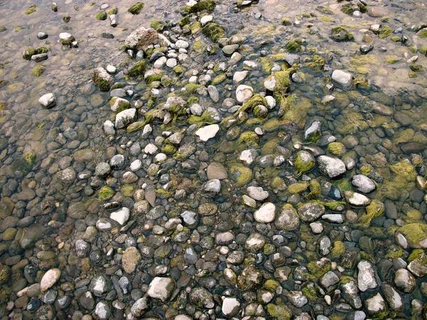 Nehrin Kenarında Küçük Yosun Kaplı Kayaların Yüksek Açılı Görüntüsü — Stok fotoğraf