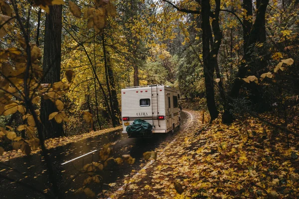 Uma Bela Foto Veículo Recreativo Andando Ambiente Florestal — Fotografia de Stock