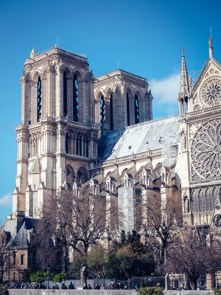 Piękne Pionowe Ujęcie Katedry Notre Dame Jasny Dzień — Zdjęcie stockowe