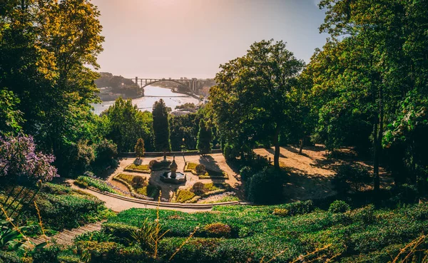 Eine Schöne Aufnahme Der Gärten Des Palacio Cristal Porto Portugal — Stockfoto