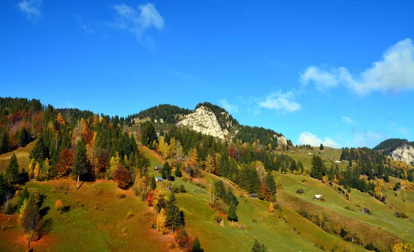 Hermoso Tiro Montañas Boscosas Bajo Cielo Despejado — Foto de Stock