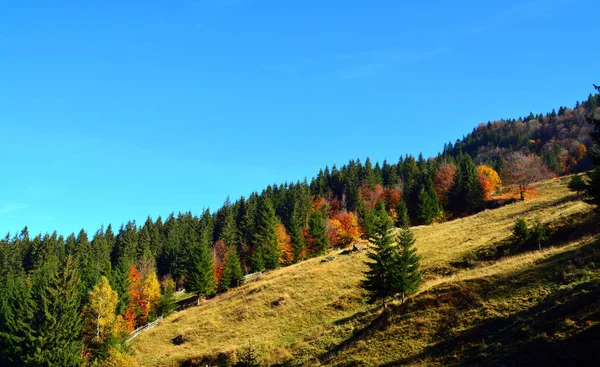 Vacker Bild Skogsklädda Berg Klar Himmel — Stockfoto