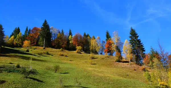 Beautiful Shot Forested Mountains Clear Sky — Stock Photo, Image