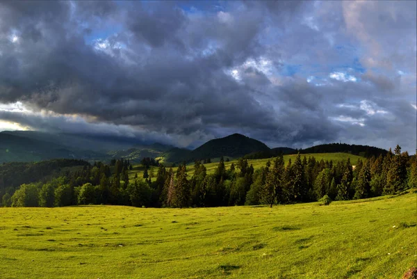 Beau Plan Montagnes Boisées Sous Ciel Nuageux — Photo