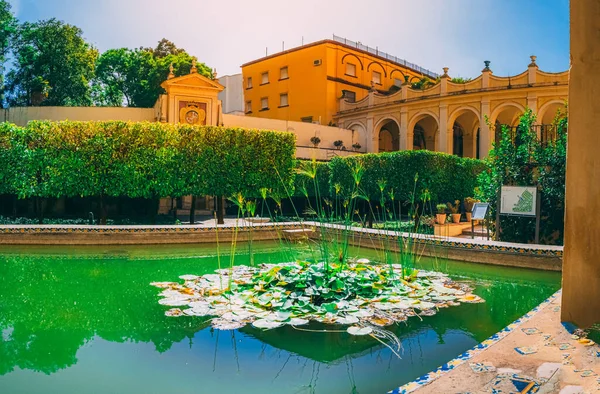 Sevilha España Julio 2020 Hermosos Jardines Increíbles Alcázar Real Real — Foto de Stock