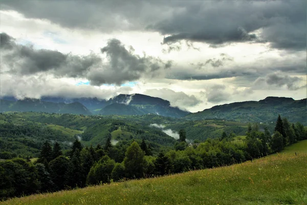 구름낀 삼림으로 뒤덮인 산들의 아름다운 — 스톡 사진