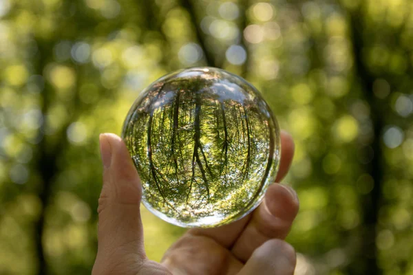 Crystal Ball Reflecting Nature — Stock Photo, Image