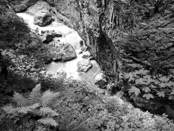 Graustufenaufnahme Eines Flusses Der Zwischen Felsen Und Klippen Fließt — Stockfoto