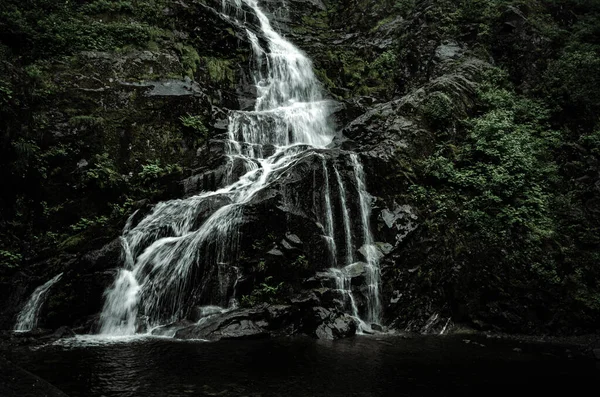 加拿大的岩石悬崖和树木环绕着美丽的瀑布风景 — 图库照片