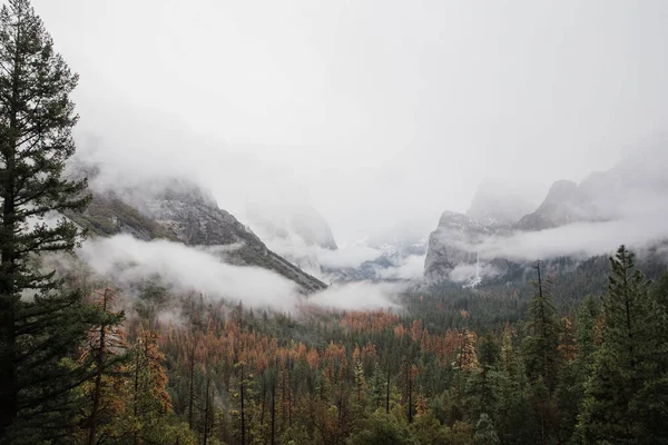 Una Impresionante Toma Aérea Del Paisaje Del Parque Nacional Yosemite — Foto de Stock