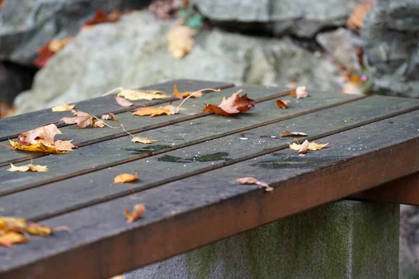 Eine Großaufnahme Von Blättern Die Auf Eine Holzbank Gefallen Sind — Stockfoto