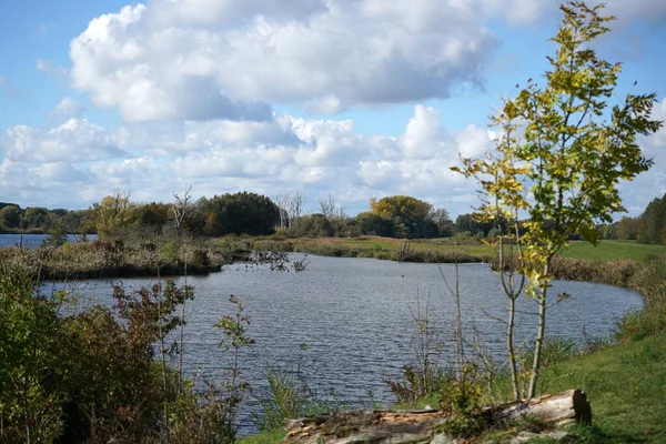 Een Close Shot Van Een Rivier Een Veld Een Bewolkte — Stockfoto