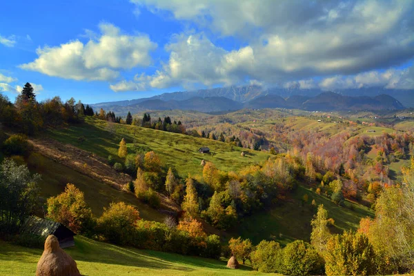 Beau Plan Montagnes Boisées Sous Ciel Dégagé — Photo