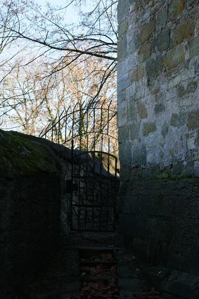 Eski Bir Kapının Dikey Görüntüsü — Stok fotoğraf