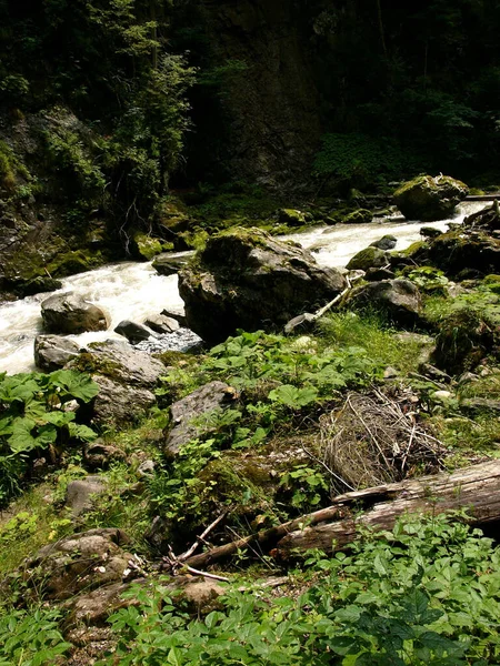 Vertical Shot Muddy River Going Rocks Cliffs Plants — Stock Photo, Image