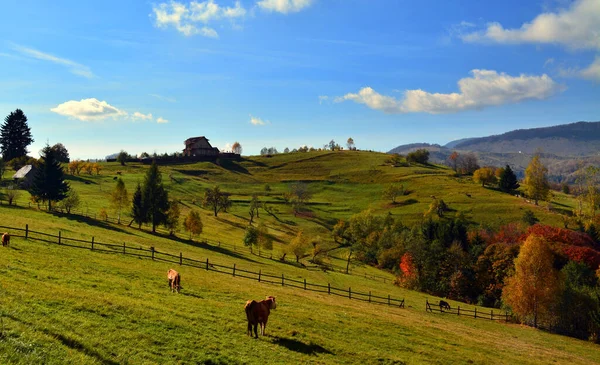 Een Prachtig Shot Van Beboste Bergen Onder Een Heldere Hemel — Stockfoto