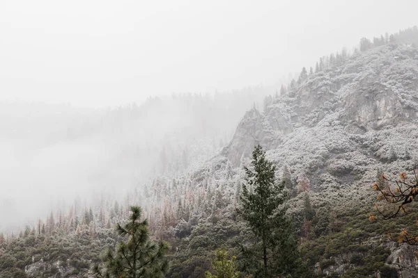 Lenyűgöző Alacsony Szögű Felvétel Yosemite Nemzeti Park Táj Kaliforniában Usa — Stock Fotó