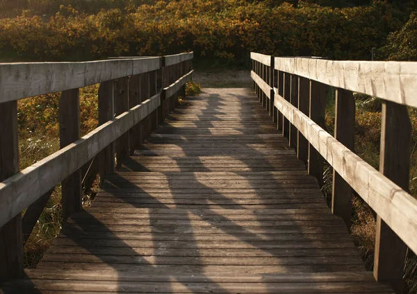 Vertikal Bild Trapporna Ett Landsbygdsområde Vid Peter Ording Tyskland — Stockfoto