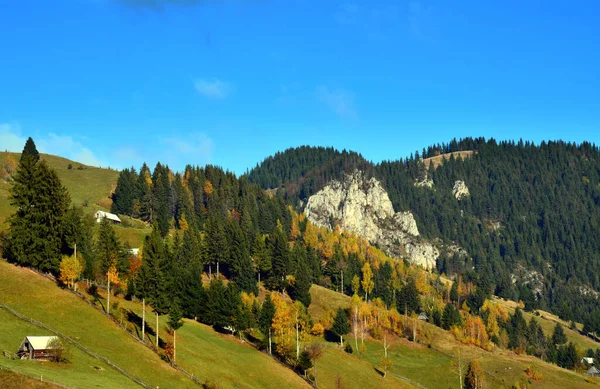 Vacker Bild Skogsklädda Berg Klar Himmel — Stockfoto