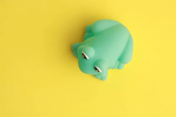 Zblízka Záběr Hračky Zelené Žáby Pro Vanu — Stock fotografie