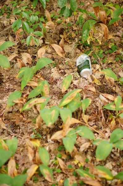 Tlen Poland Aug 2020 Tomma Ölburkar Som Ligger Marken Skog — Stockfoto