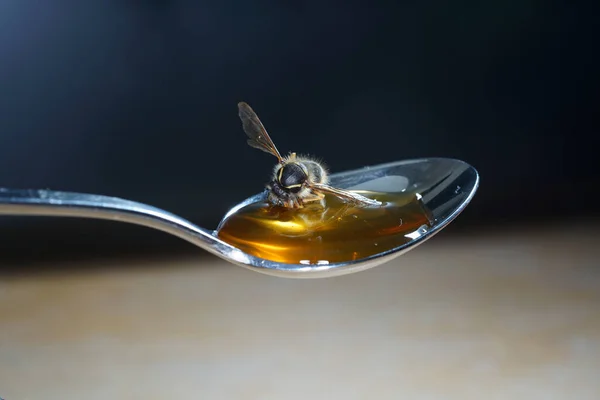 Närbild Ett Sked Med Honung — Stockfoto