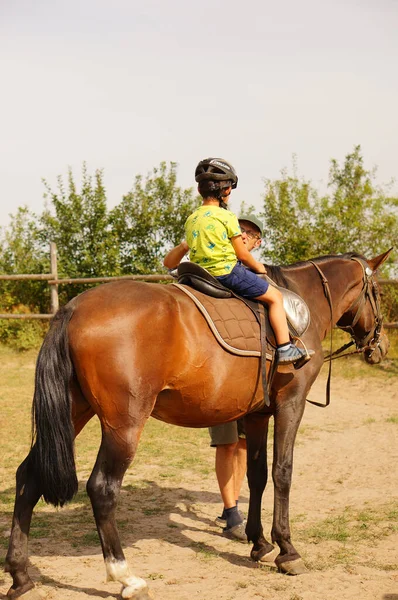 Tle Polónia Agosto 2020 Instrutor Aprendendo Criança Cavalo Marrom Como — Fotografia de Stock