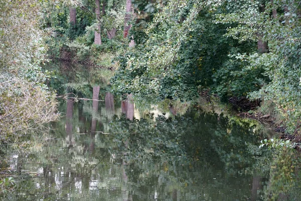 Closeup Shot Lake Trees — Stock Photo, Image