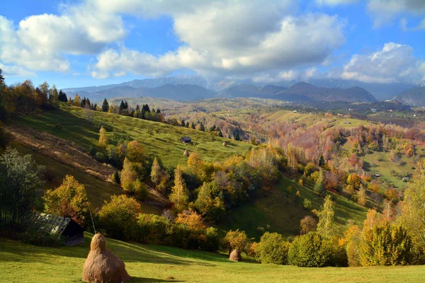 Beau Plan Montagnes Boisées Sous Ciel Dégagé — Photo