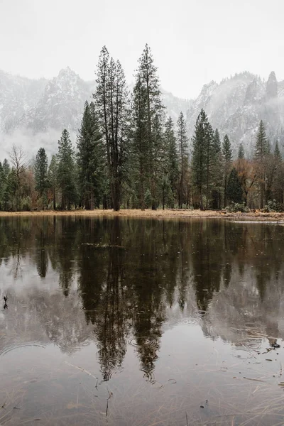 Vertikální Záběr Dechberoucí Scenérie Národního Parku Yosemite Kalifornii Usa — Stock fotografie