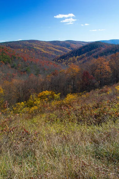 Vertikální Snímek Krásné Krajiny Národního Parku Shenandoah Virginii Během Podzimu — Stock fotografie