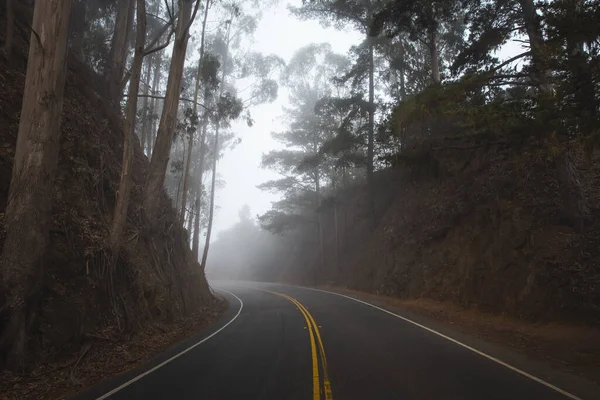 Uma Estrada Que Conduz Costa Central Califórnia Que Atravessa Floresta — Fotografia de Stock