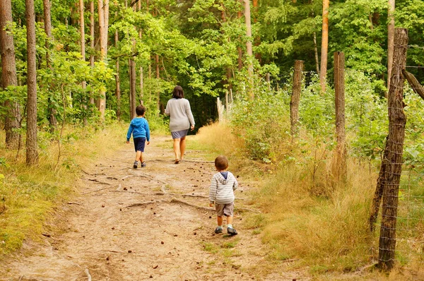 Tlen Polónia Agosto 2020 Mulher Dois Meninos Caminhando Uma Trilha — Fotografia de Stock