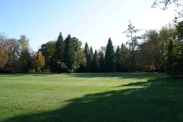 Een Prachtig Shot Van Een Herfstdag Het Duitse Park — Stockfoto