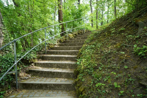 Una Escalera Rodeada Verdes Árboles Parque —  Fotos de Stock