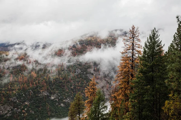 Uma Foto Aérea Deslumbrante Paisagem Parque Nacional Yosemite Localizada Califórnia — Fotografia de Stock