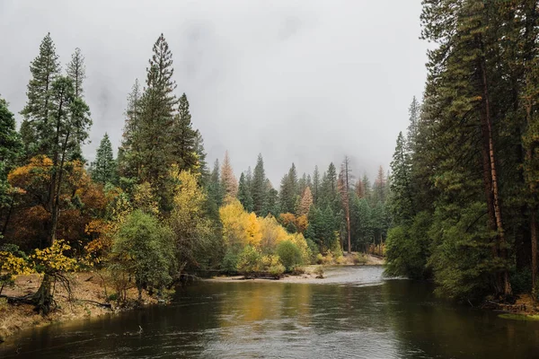 Lélegzetelállító Táj Yosemite Nemzeti Park Természet Található Kalifornia Usa — Stock Fotó